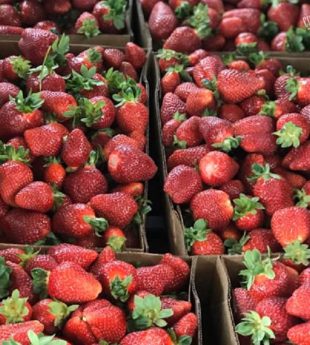 5 Ways To Make The Most Of Strawberry Season